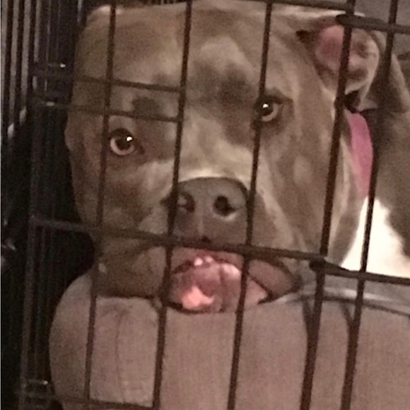 Meet your Posher, Christine - Picture 5 of 16